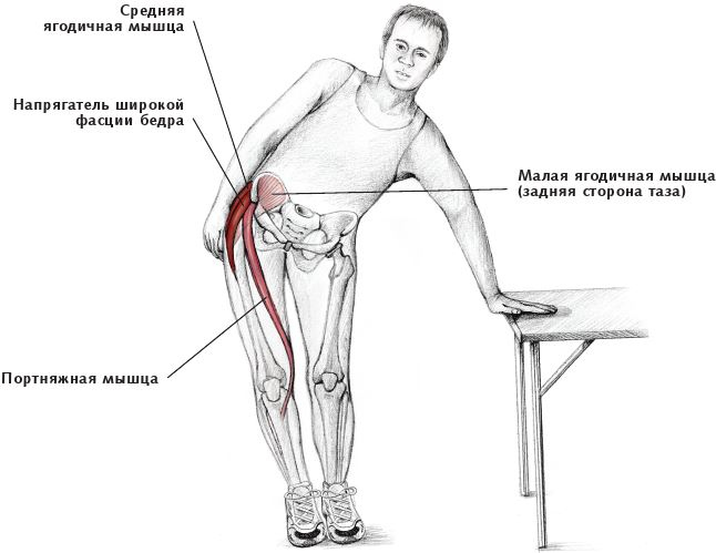 Иллюстрация к книге — Анатомия стретчинга [i_135.jpg]
