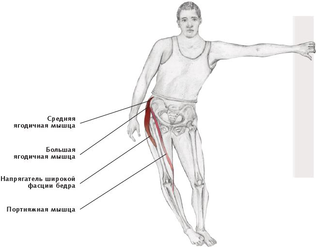Иллюстрация к книге — Анатомия стретчинга [i_137.jpg]