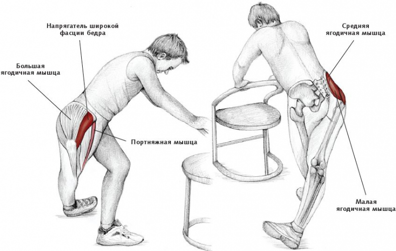 Иллюстрация к книге — Анатомия стретчинга [i_138.jpg]