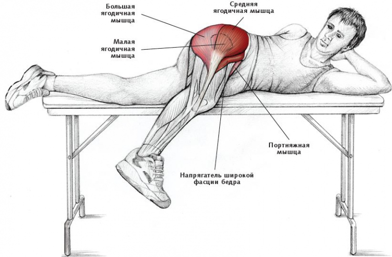 Иллюстрация к книге — Анатомия стретчинга [i_141.jpg]