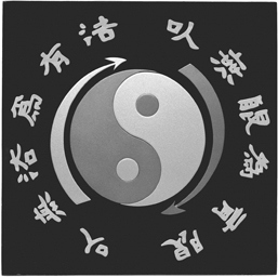 Иллюстрация к книге — Будь водой, друг мой. Учение Брюса Ли [i_013.jpg]