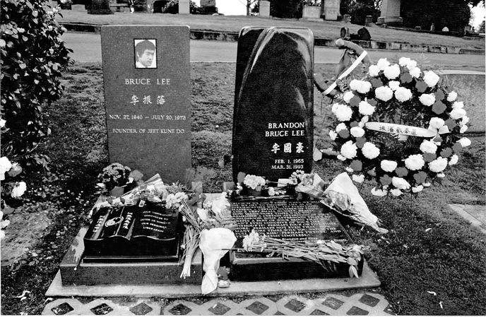 Иллюстрация к книге — Будь водой, друг мой. Учение Брюса Ли [i_016.jpg]