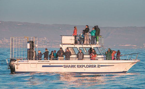 Иллюстрация к книге — Императоры глубин: Акулы. Самые загадочные, недооцененные и незаменимые стражи океана [i_015.jpg]