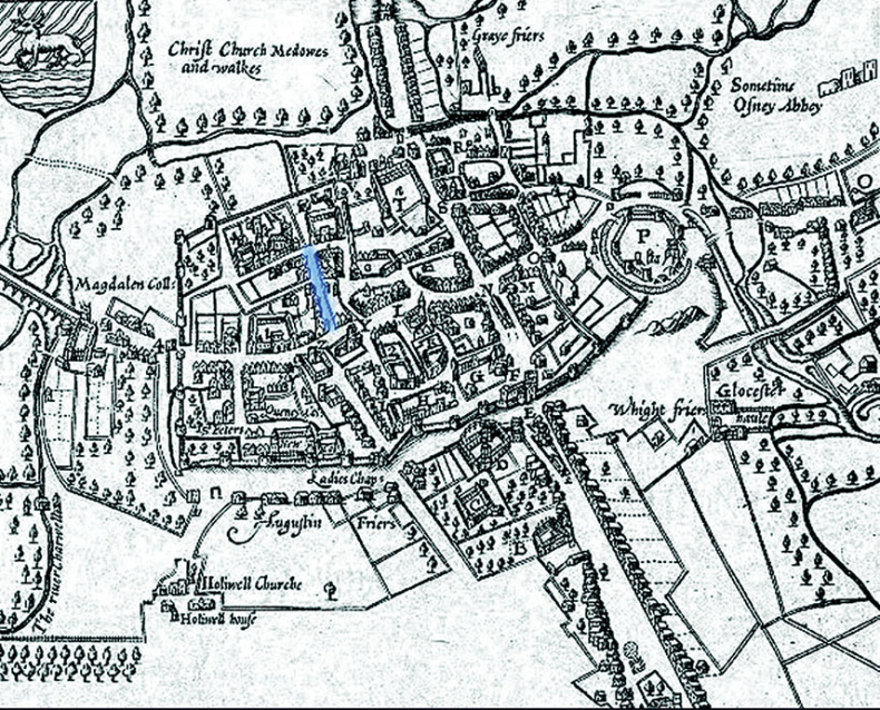 Иллюстрация к книге — Удивительная история секса. Взгляд сквозь века на одну из самых табуированных тем человечества [i_005.jpg]