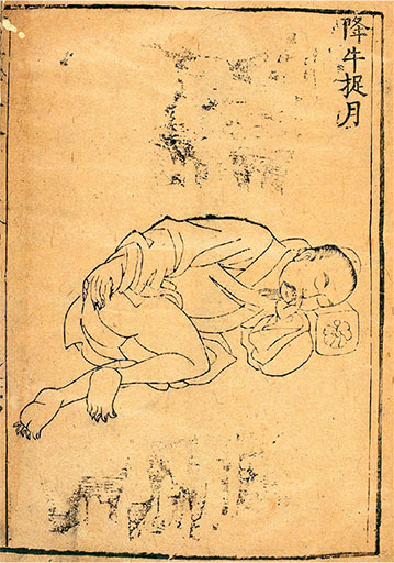 Иллюстрация к книге — Удивительная история секса. Взгляд сквозь века на одну из самых табуированных тем человечества [i_036.jpg]