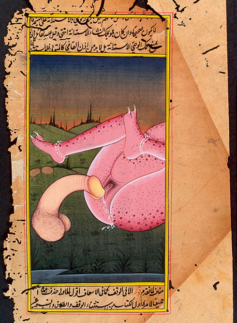 Иллюстрация к книге — Удивительная история секса. Взгляд сквозь века на одну из самых табуированных тем человечества [i_037.jpg]