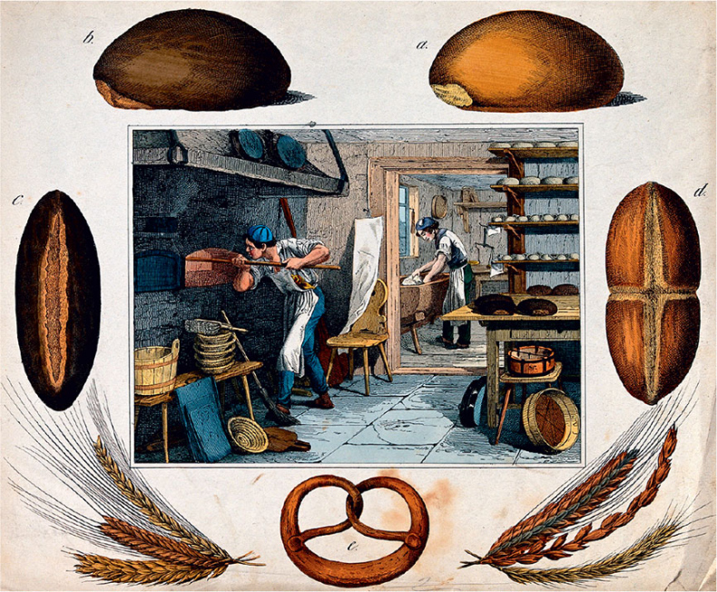 Иллюстрация к книге — Удивительная история секса. Взгляд сквозь века на одну из самых табуированных тем человечества [i_049.jpg]