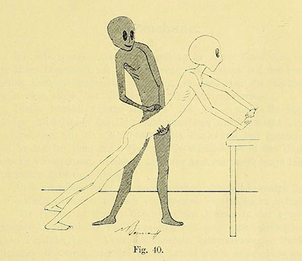 Иллюстрация к книге — Удивительная история секса. Взгляд сквозь века на одну из самых табуированных тем человечества [i_071.jpg]