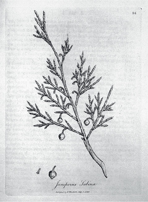 Иллюстрация к книге — Удивительная история секса. Взгляд сквозь века на одну из самых табуированных тем человечества [i_110.jpg]