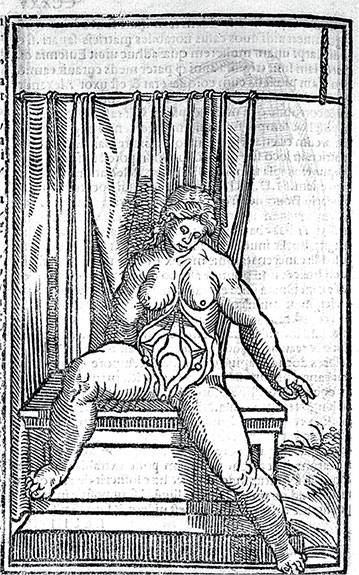 Иллюстрация к книге — Удивительная история секса. Взгляд сквозь века на одну из самых табуированных тем человечества [i_117.jpg]