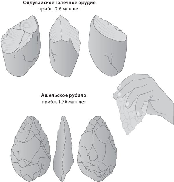 Иллюстрация к книге — Как мы стали людьми. Поиски истоков человечества [i_020.jpg]