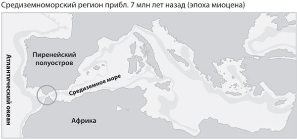 Иллюстрация к книге — Как мы стали людьми. Поиски истоков человечества [i_022.jpg]