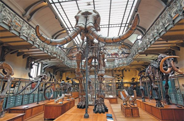 Иллюстрация к книге — Как мы стали людьми. Поиски истоков человечества [i_029.jpg]