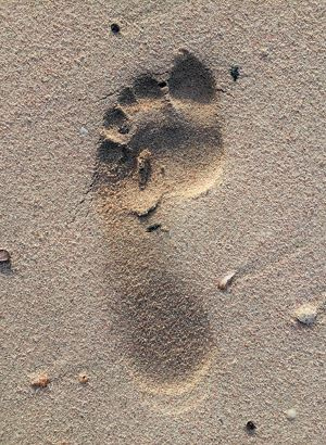 Иллюстрация к книге — Как мы стали людьми. Поиски истоков человечества [i_042.jpg]