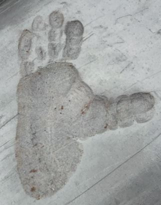 Иллюстрация к книге — Как мы стали людьми. Поиски истоков человечества [i_043.jpg]