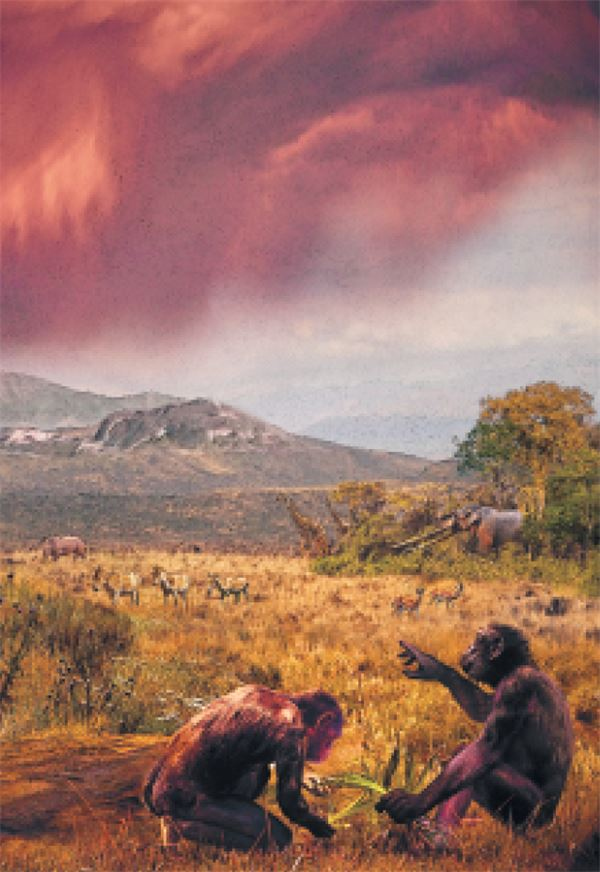 Иллюстрация к книге — Как мы стали людьми. Поиски истоков человечества [i_050.jpg]