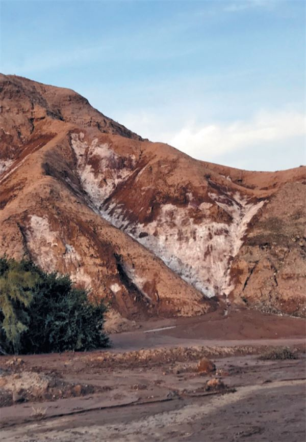 Иллюстрация к книге — Как мы стали людьми. Поиски истоков человечества [i_051.jpg]