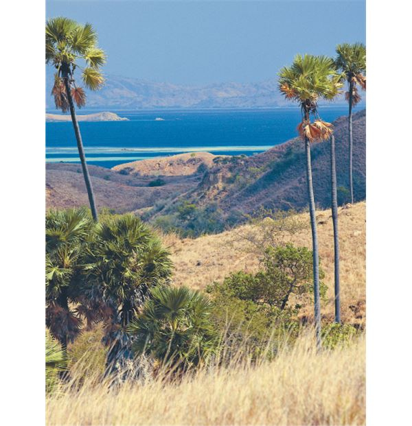 Иллюстрация к книге — Как мы стали людьми. Поиски истоков человечества [i_055.jpg]