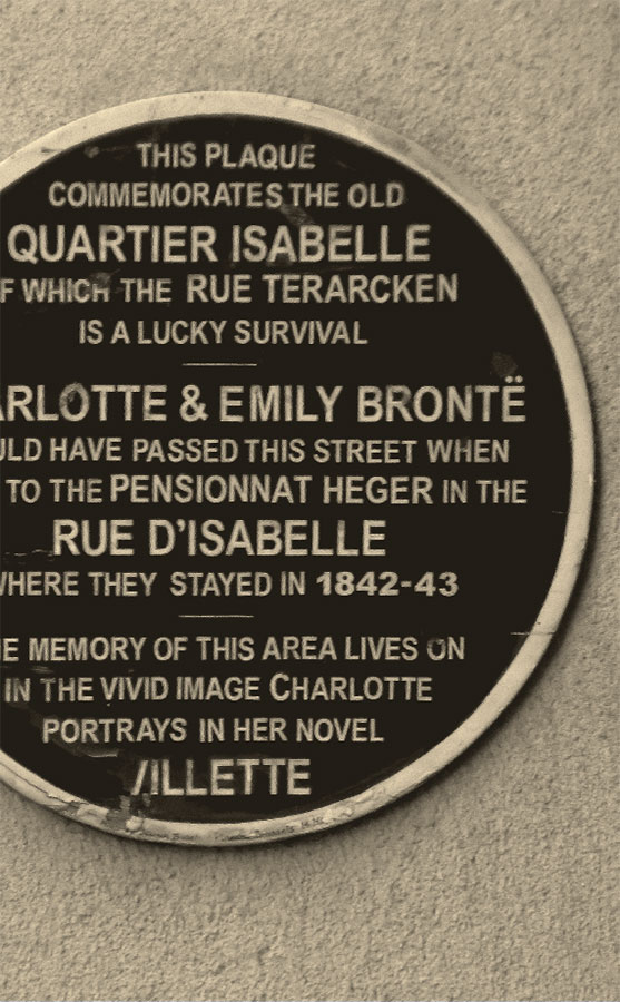 Иллюстрация к книге — Шарлотта Бронте делает выбор. Викторианская любовь [i_002.jpg]