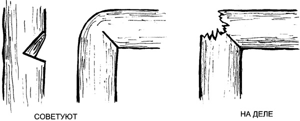 Иллюстрация к книге — Золотые правила садовода и огородника. 7 секретов большого урожая [i_006.jpg]