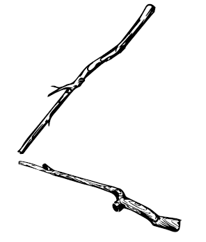 Иллюстрация к книге — В чём секрет, Чарли? [i_004.jpg]