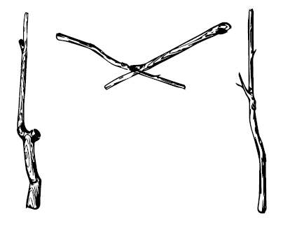 Иллюстрация к книге — В чём секрет, Чарли? [i_007.jpg]