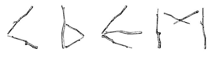 Иллюстрация к книге — В чём секрет, Чарли? [i_008.jpg]