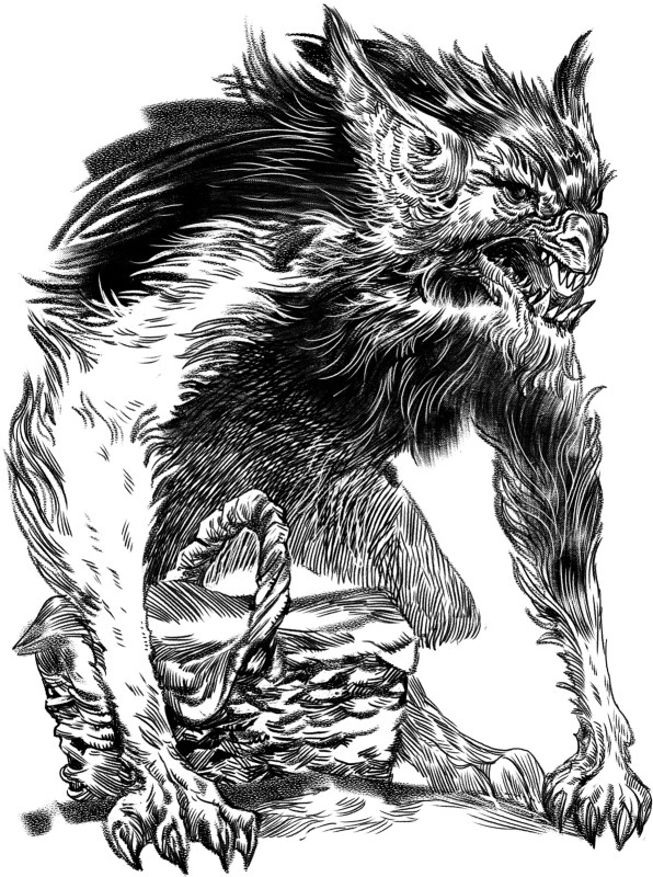 Иллюстрация к книге — Демонология Сангомара. Искра войны [i_008.jpg]