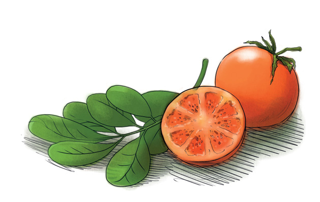 Иллюстрация к книге — Женщины, которые меня… научили готовить [i_018.jpg]