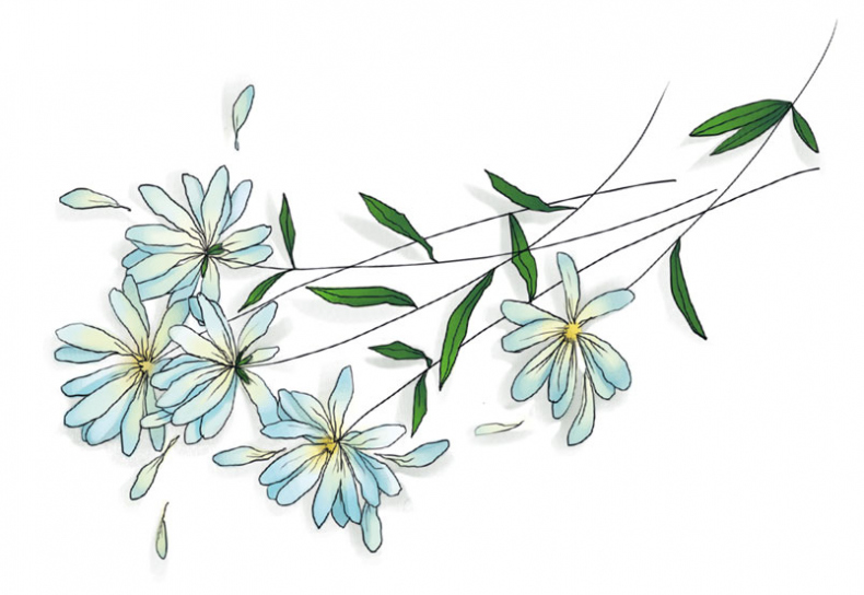 Иллюстрация к книге — Женщины, которые меня… научили готовить [i_019.jpg]