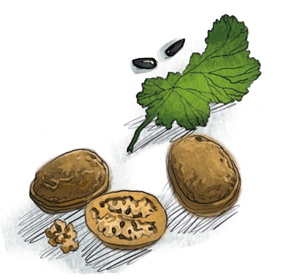 Иллюстрация к книге — Женщины, которые меня… научили готовить [i_030.jpg]