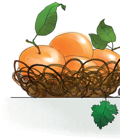 Иллюстрация к книге — Женщины, которые меня… научили готовить [i_033.jpg]