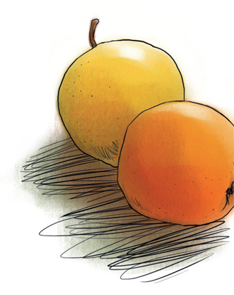 Иллюстрация к книге — Женщины, которые меня… научили готовить [i_035.jpg]