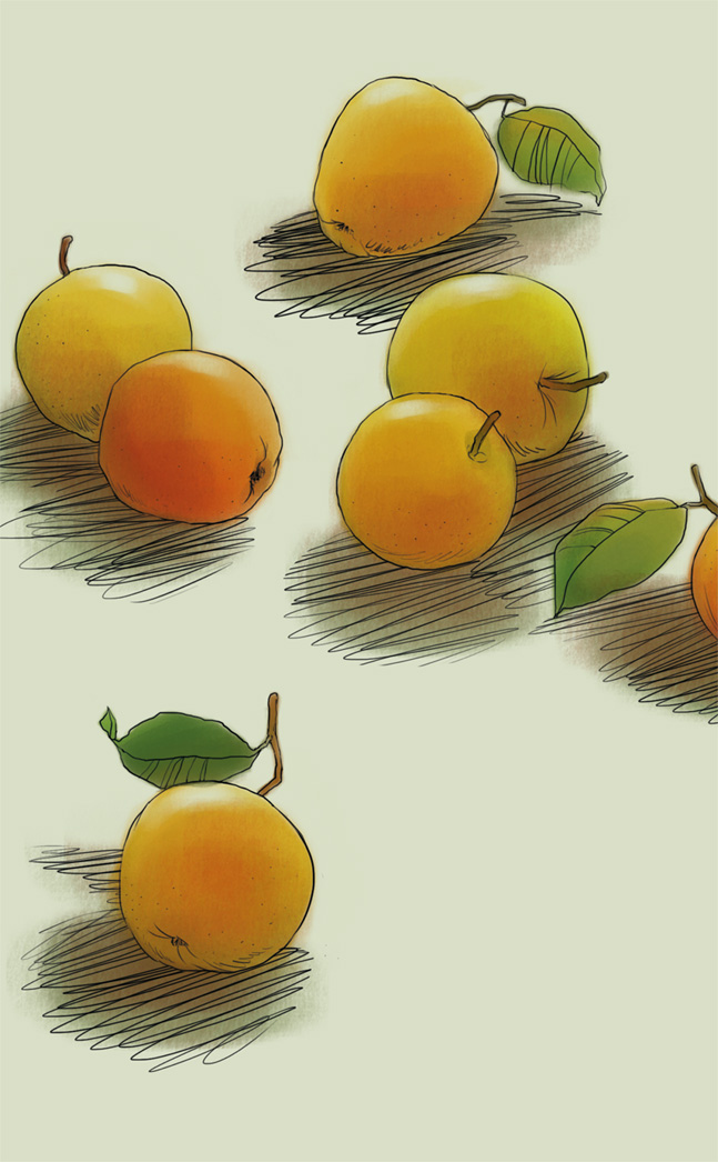 Иллюстрация к книге — Женщины, которые меня… научили готовить [i_053.jpg]