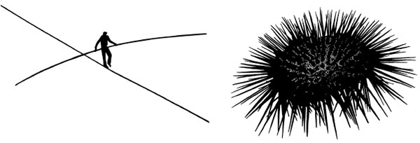 Иллюстрация к книге — Ковид и постковид. Как справиться с последствиями коронавируса. Микроэлементы и витамины для защиты и восстановления здоровья [i_004.jpg]