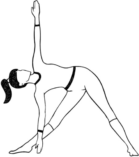 Иллюстрация к книге — Ковид и постковид. Как справиться с последствиями коронавируса. Микроэлементы и витамины для защиты и восстановления здоровья [i_101.jpg]