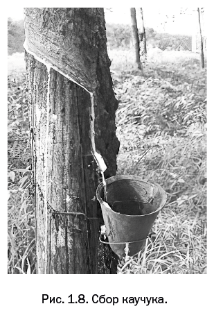 Иллюстрация к книге — Лаборатория химических историй. От электрона до молекулярных машин [i_011.jpg]