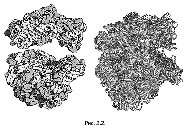 Иллюстрация к книге — Лаборатория химических историй. От электрона до молекулярных машин [i_065.jpg]