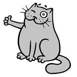 Иллюстрация к книге — Правильный жир. Для чего он нужен организму и почему надо перестать его ненавидеть [i_002.jpg]