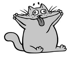 Иллюстрация к книге — Правильный жир. Для чего он нужен организму и почему надо перестать его ненавидеть [i_011.jpg]