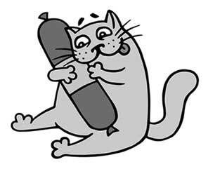 Иллюстрация к книге — Правильный жир. Для чего он нужен организму и почему надо перестать его ненавидеть [i_012.jpg]