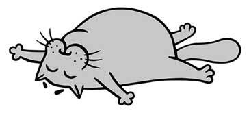 Иллюстрация к книге — Правильный жир. Для чего он нужен организму и почему надо перестать его ненавидеть [i_017.jpg]