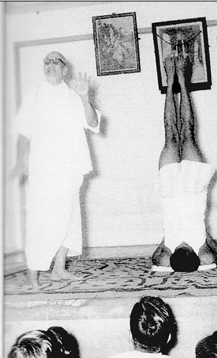 Иллюстрация к книге — Сердце йоги. Принципы построения индивидуальной практики. «Йога-сутры» Патанджали. «Йоганджалисара» Шри Кришнамачарья [i_033.jpg]