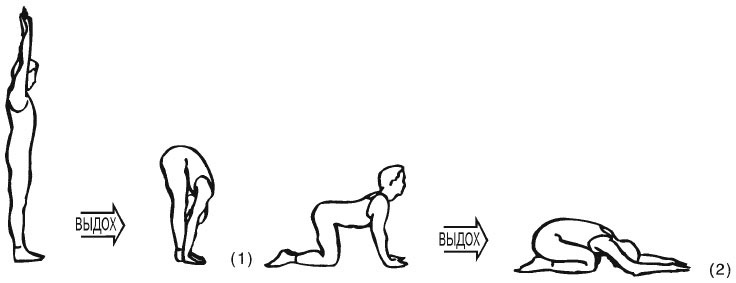 Иллюстрация к книге — Сердце йоги. Принципы построения индивидуальной практики. «Йога-сутры» Патанджали. «Йоганджалисара» Шри Кришнамачарья [i_045.jpg]