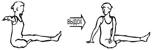 Иллюстрация к книге — Сердце йоги. Принципы построения индивидуальной практики. «Йога-сутры» Патанджали. «Йоганджалисара» Шри Кришнамачарья [i_047.jpg]