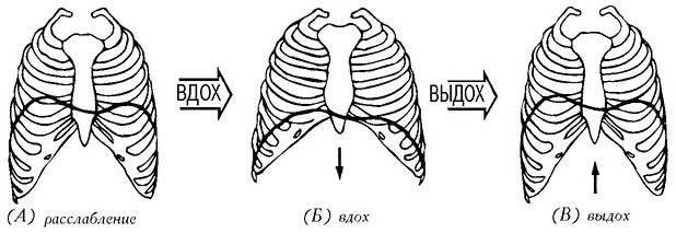 Иллюстрация к книге — Сердце йоги. Принципы построения индивидуальной практики. «Йога-сутры» Патанджали. «Йоганджалисара» Шри Кришнамачарья [i_048.jpg]