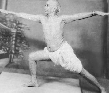 Иллюстрация к книге — Сердце йоги. Принципы построения индивидуальной практики. «Йога-сутры» Патанджали. «Йоганджалисара» Шри Кришнамачарья [i_049.jpg]