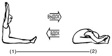 Иллюстрация к книге — Сердце йоги. Принципы построения индивидуальной практики. «Йога-сутры» Патанджали. «Йоганджалисара» Шри Кришнамачарья [i_053.jpg]