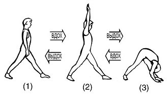 Иллюстрация к книге — Сердце йоги. Принципы построения индивидуальной практики. «Йога-сутры» Патанджали. «Йоганджалисара» Шри Кришнамачарья [i_054.jpg]