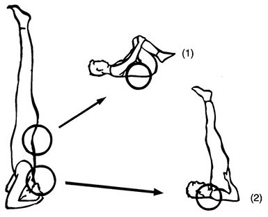 Иллюстрация к книге — Сердце йоги. Принципы построения индивидуальной практики. «Йога-сутры» Патанджали. «Йоганджалисара» Шри Кришнамачарья [i_055.jpg]